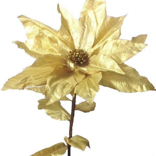 FIORONE  STELLA GOLD   ART.SF2001-GO