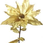 FIORONE  STELLA GOLD   ART.SF2001-GO
