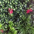 SIEPE ARTIFICIALE 1X1M DECORATIVA    MZ189008A
